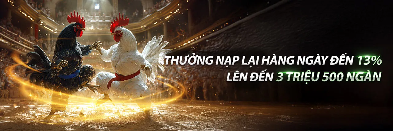 Hình ảnh tổng quan về Điều khoản và Điều kiện của q79
